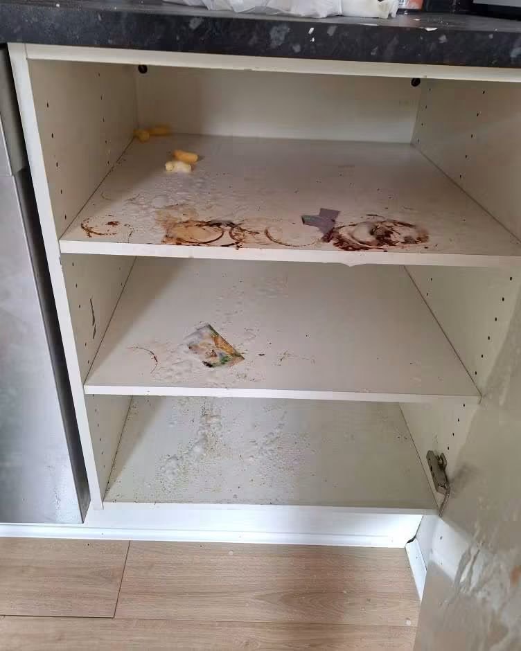 Kjøkkenskap før rengjøring